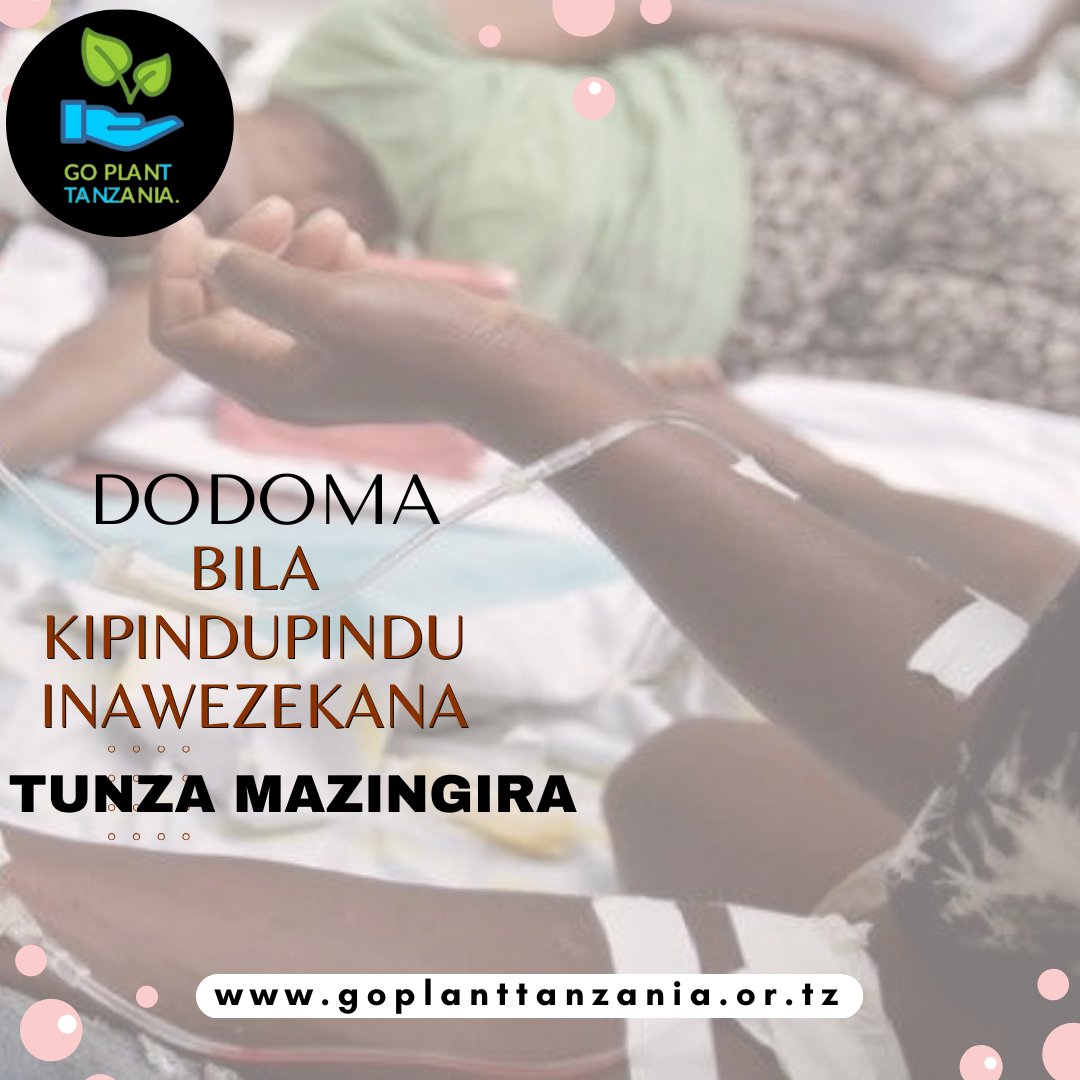 likudaz's tweet photo. KINGA ni bora kuliko TIBA, hii ni yetu sote wakazi wa Dodoma. 🙌🙌

ZUIA KUPINDUPINDU, TUNZA MAZINGIRA.

#DodomaBilaKipinduPinduInawezekana
#GoPlantTanzania 
#MazingiraYanguTanzaniaYanguNitaipendaDaima https://t.co/9ml0i3V47V