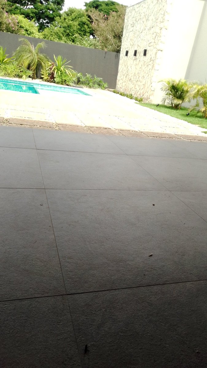 amobucetta's tweet photo. Queria tanto gozar na piscina https://t.co/qZctycmuiv