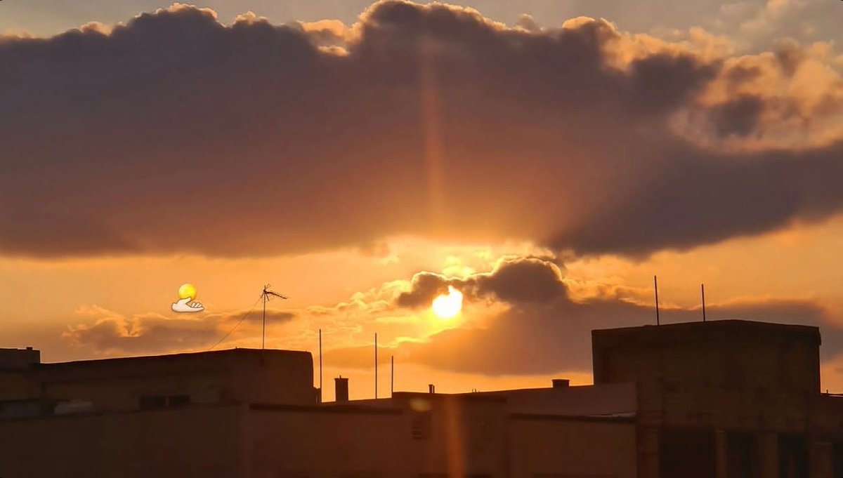 توام دیدی؟ 🫴☀️