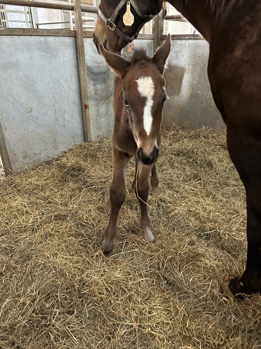 Jay Goodwin tweet media