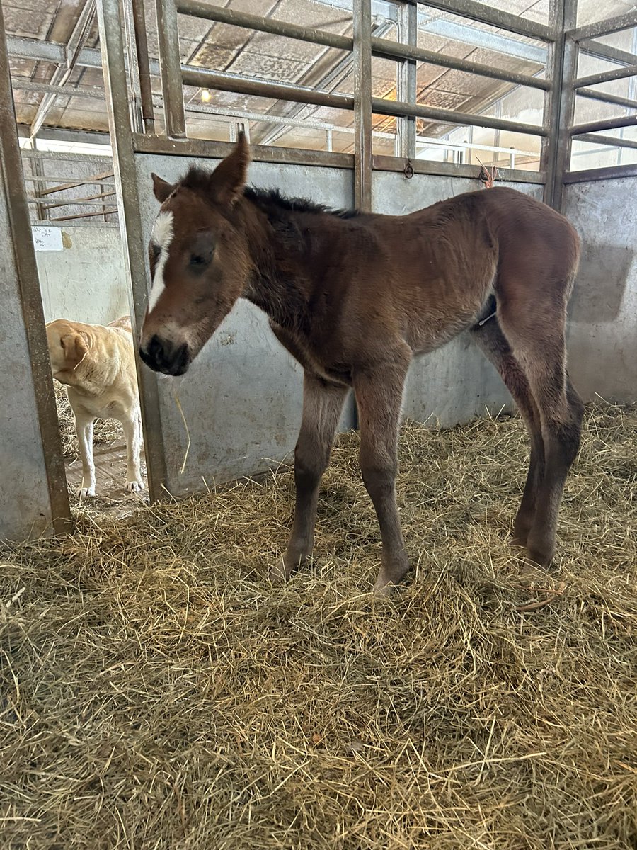 Jay Goodwin tweet media