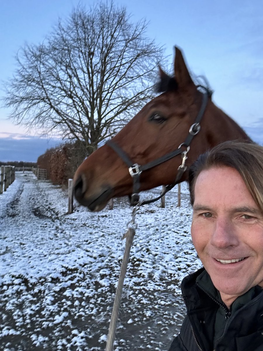 BelaAnda1's tweet image. Fühle mich als Bauer #Pferd