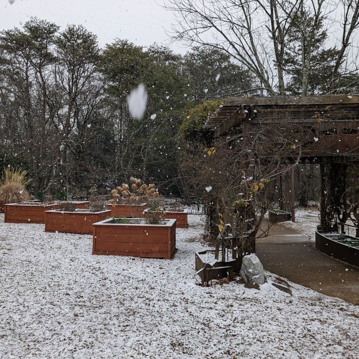 Due to current weather conditions, Rock City is now closed for Monday, January 15. We will update you with any additional information in our stories.