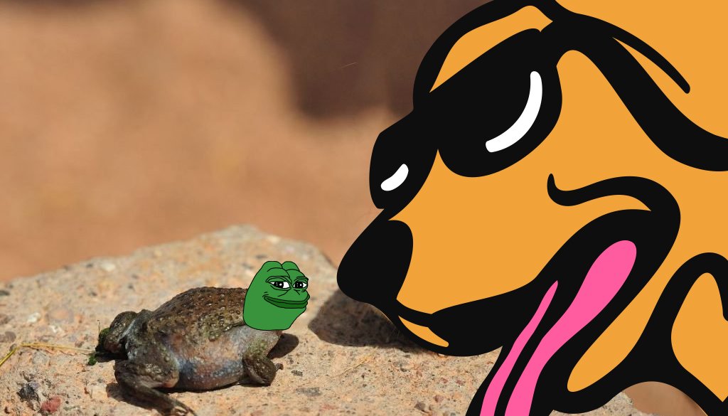 Shall I bite it or stand on it? $WOOF