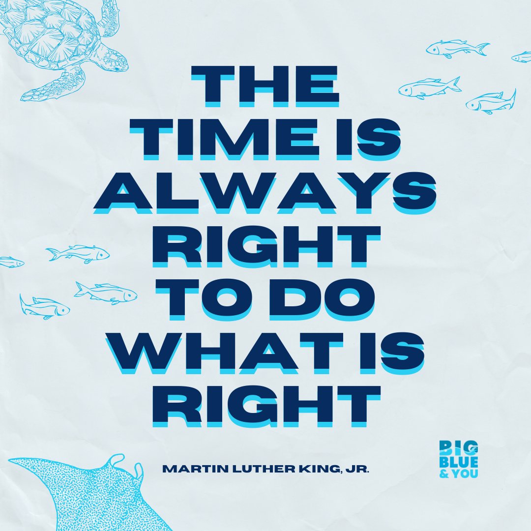 Join us in honoring the life and impact of Dr. Martin Luther King Jr. MLK Day encourages Americans to participate in service activities and volunteer work to make meaningful change in their communities. It's a great way to celebrate Martin Luther King Jr.'s legacy. 🖤