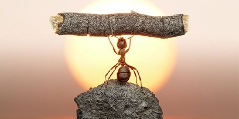 The Difference Between Strain and Strength - new post up today:  gabekolstad.com/blog/the-diffe…