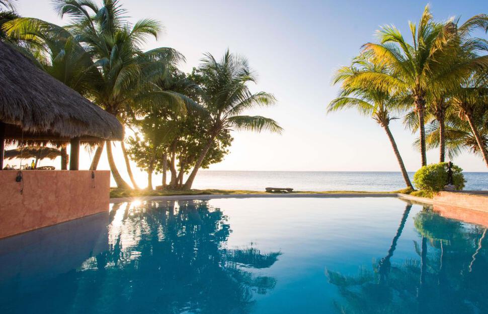 SimplyStLucia1's tweet photo. Chasing away those Blue Monday vibes with a splash of Caribbean bliss! 🌴💙 Let the vibrant hues and tropical dreams light up your day. 

Resorts are:
1. Cap Maison, St Lucia
2. Laluna, Grenada
3. Bequia Beach, The Grenadines
4. Galley Bay, Antigua
5. Cap Juluca, Anguilla https://t.co/yW2rFoLaDO