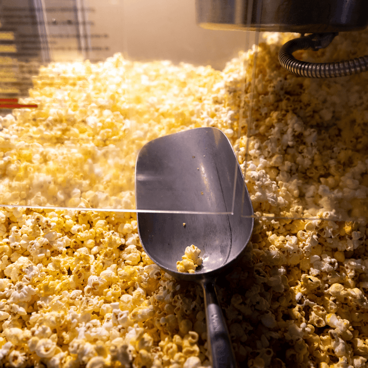 thefrenchpub's tweet photo. Craving a classic snack? 🍿 

Pop in at French Pub and enjoy our deliciously irresistible popcorn! https://t.co/Cr3GkHFUbL