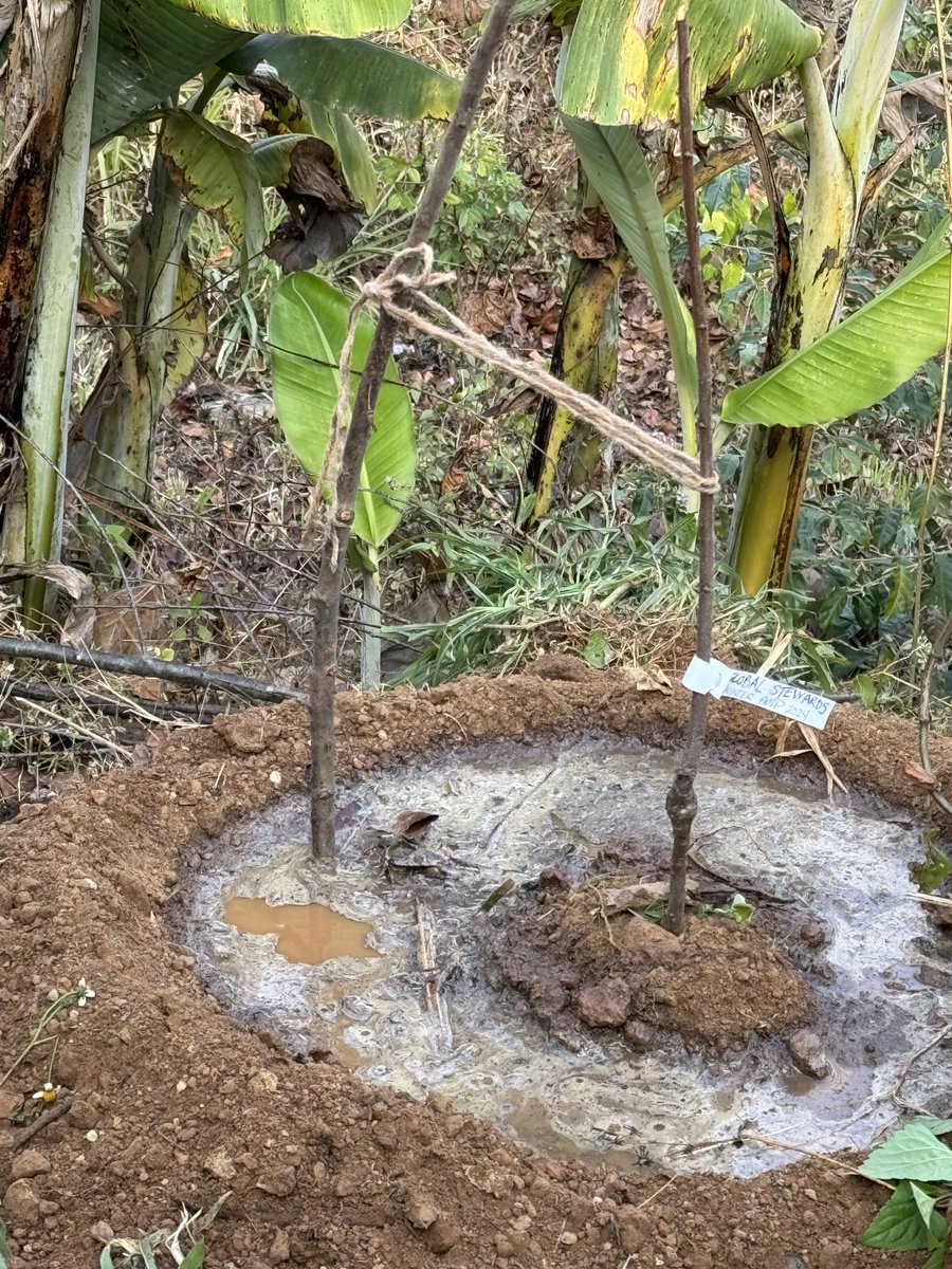 Day 3 started at Sanskriti research farm, we had an amazing presentation by the farm manager, Shree Krishna Dhital. He shared his inspiring journey of transforming this land from a grassy field into a fruitful farm. We then got to explore the beautiful farm stay and  plant trees.