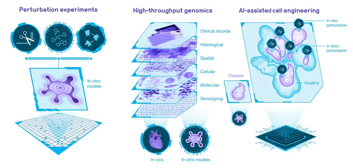 mo_lotfollahi's tweet image. Delighted to finally announce that Lotfollahi Lab starts this year at @sangerinstitute and @CC4AIM in Cambridge University. The lab will develop core AI/ml systems and also generate large scale multi-modal cellular data to advance cell engineering:
sanger.ac.uk/group/lotfolla…