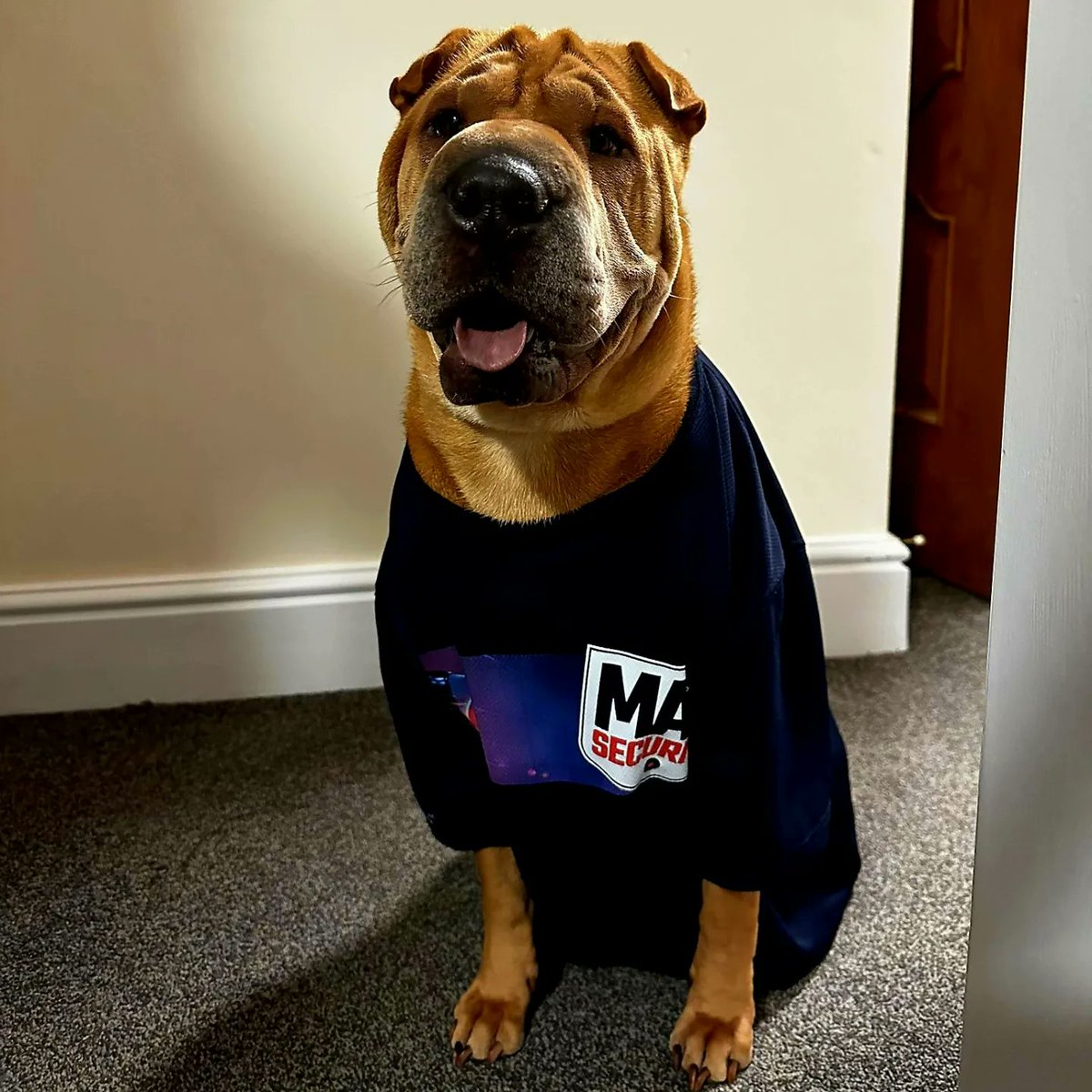 MAS-Security tweet media