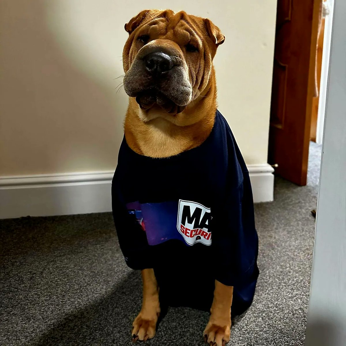 MAS-Security tweet media