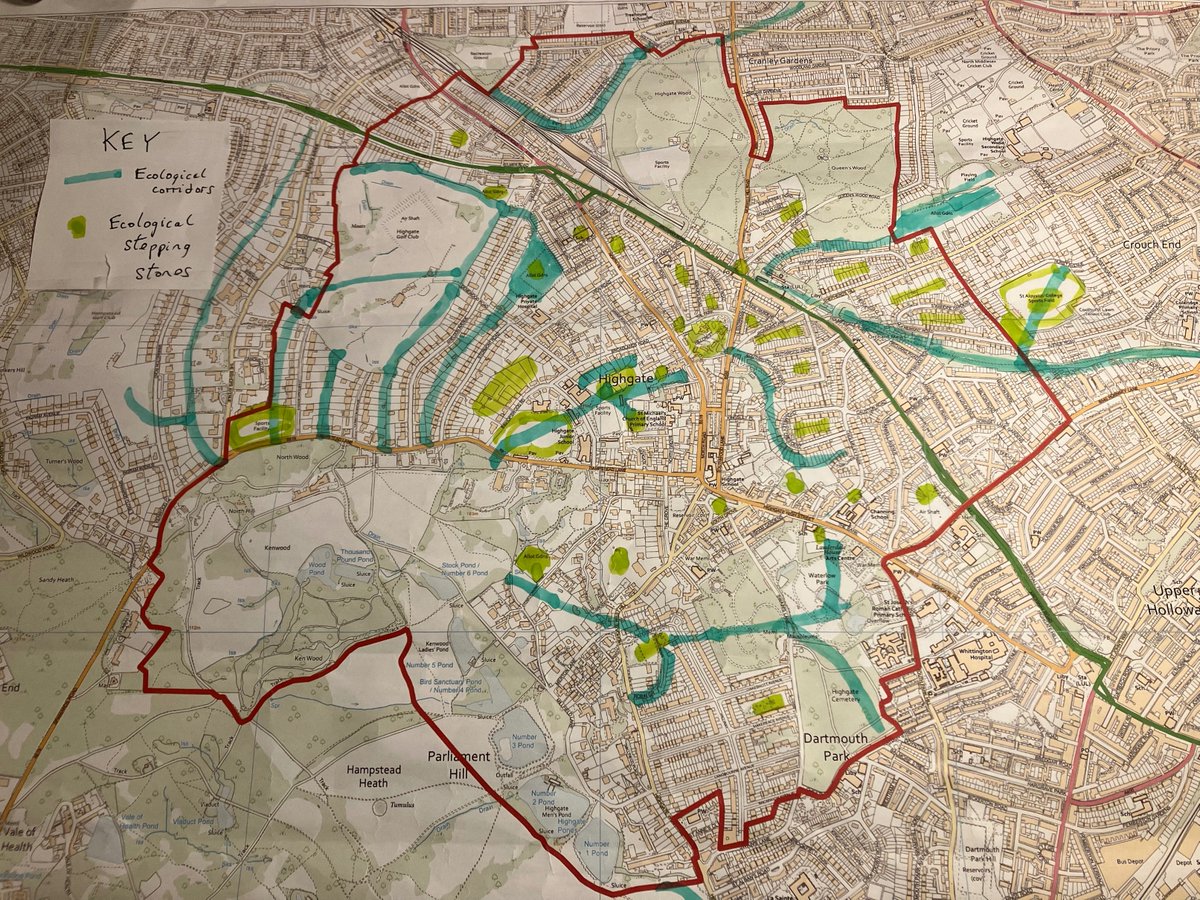 HighgateForum's tweet image. Can you help us develop Highgate's wildlife corridors? Is your garden on this map? Would you like to join our Biodiversity Network? If so, find out more at forhighgate.org/help-us-map-hi…