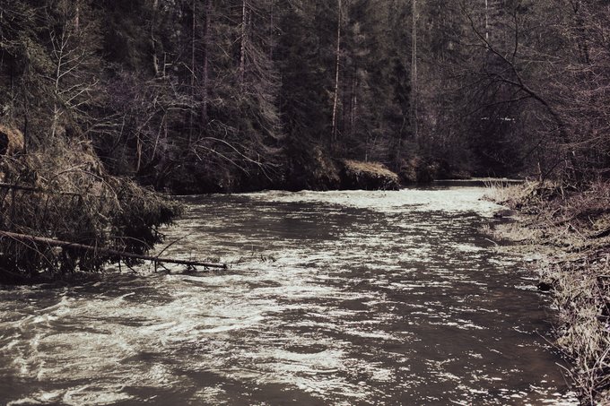 0xAndrewaband's tweet photo. #Hornad #January #canon https://t.co/39YMCPXZlQ