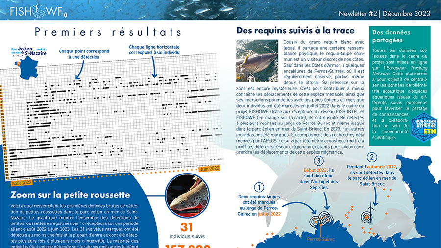 FrceEnergiesMar's tweet photo. Le projet #FISHOWF suit les déplacements de poissons et crustacés dans plusieurs sites d’éolien en mer au moyen de la télémétrie acoustique. Parcourez la 2e newsletter du projet pour découvrir quelques résultats :
👉 https://t.co/z8sCp5GoBC https://t.co/ghiHoGwbXx