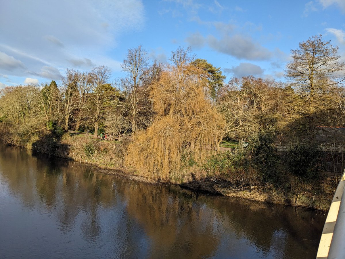 Anne Bell tweet media