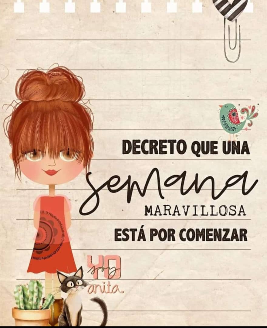 Alondra tweet media