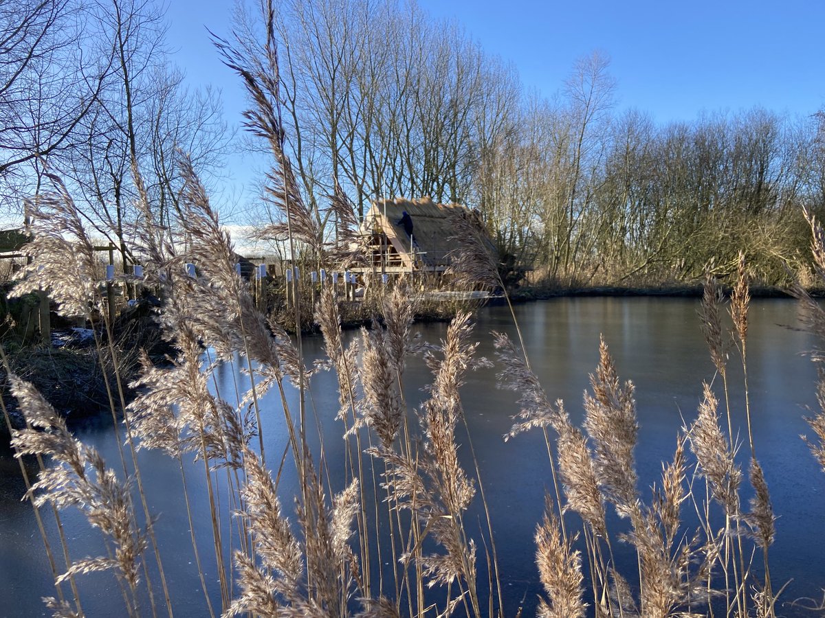 masterthatcher2's tweet photo. A cold crisp day and we are #Thatching at WWT #MartinMere wetland nature reserve near #Burscough #Lancashire. https://t.co/UV8EjvpiBh