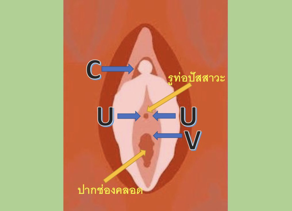 เรื่องเล่าพี่หมอเอ้ tweet media