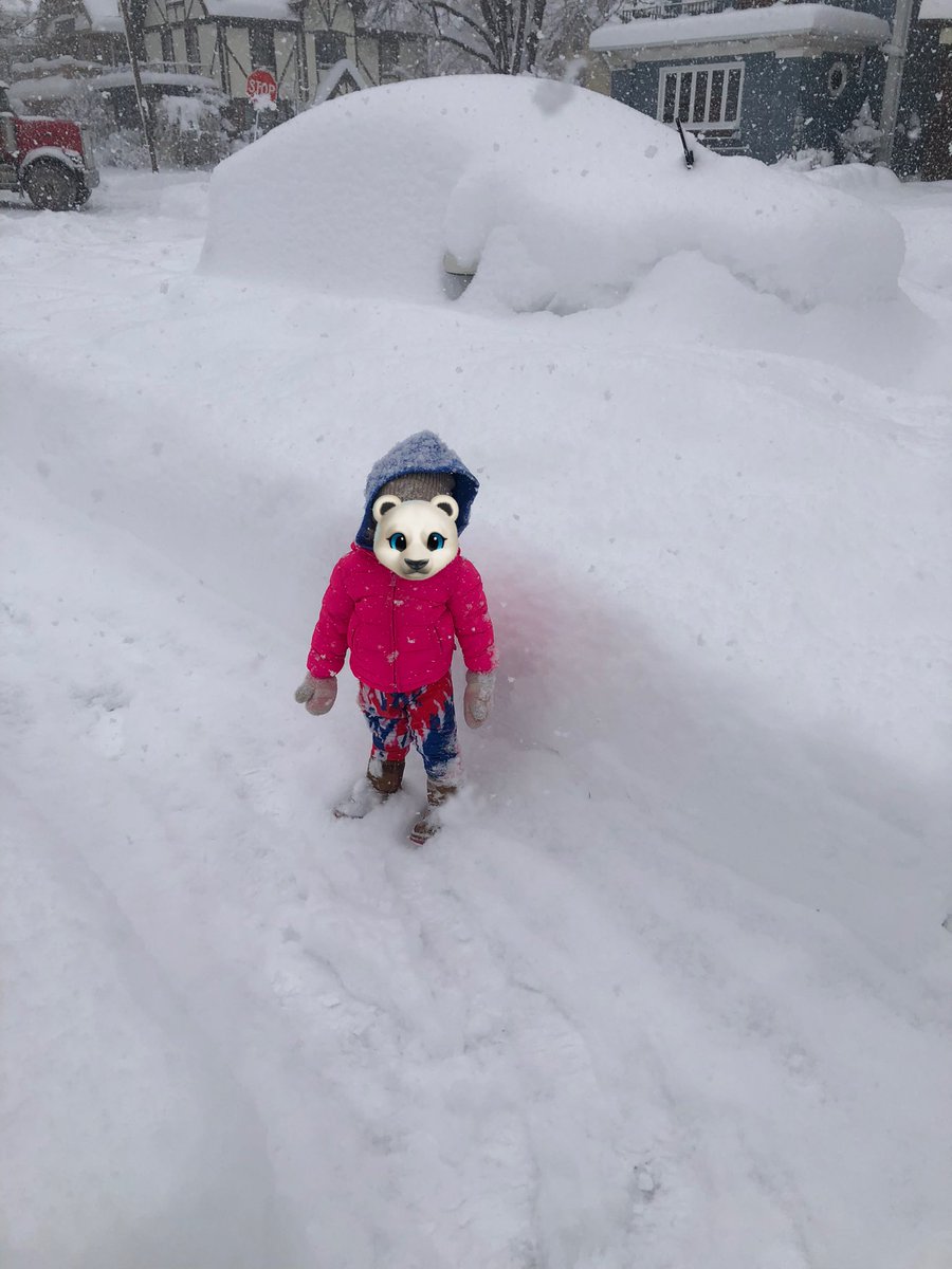 Tim Monreal (account inactive) tweet media