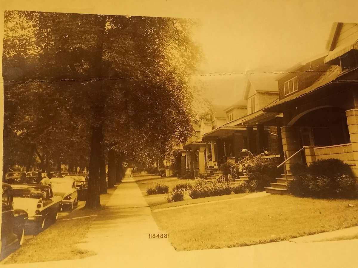 Suewill36768583's tweet photo. This is a photo  of my block in year 1950..look at the cars ..and the trees ..today there are no trees on my block..so I planted my own.. https://t.co/1CZx6X2x3W