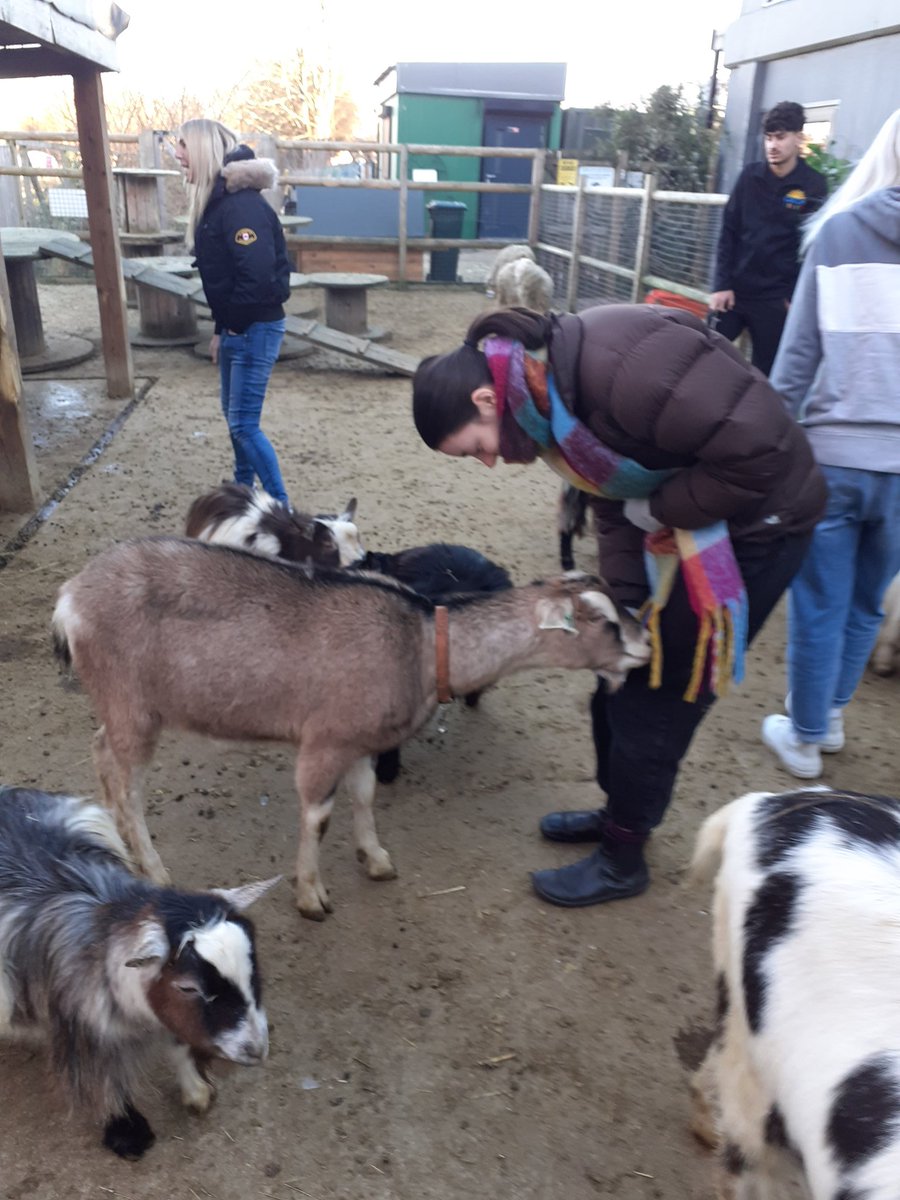 An afternoon of discussions, celebrations, beacon solidarity , fun , goat petting and service planning @CATCHLeeds @TLA_ISEsBeacon @TLivesAround @Foundation___ @Touchstone_Spt