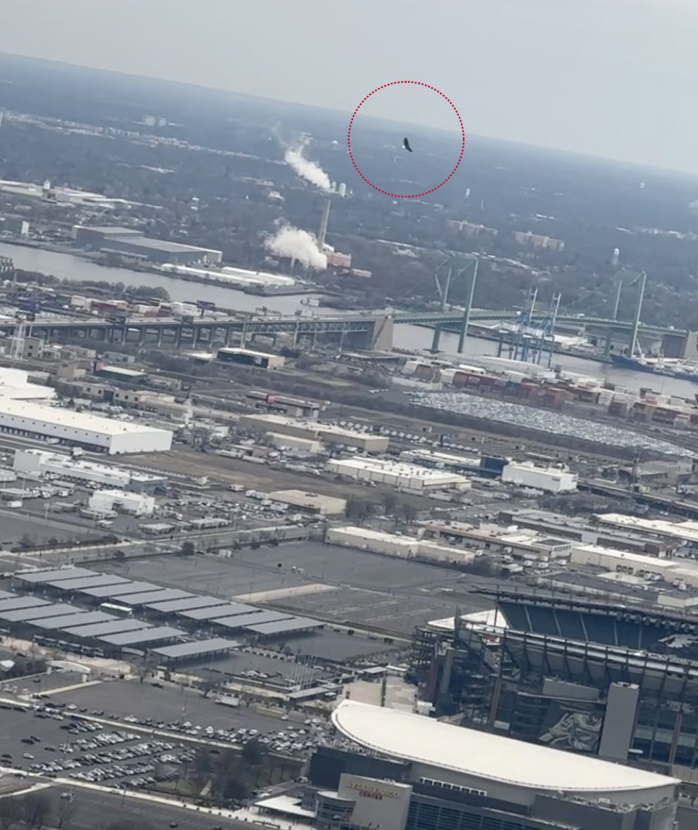 PPDAviation's tweet photo. This has to be a good sign. Eagles around the stadiums on game day 
#FlyEaglesFly @Eagles @PhillyPolice https://t.co/1NJLZrD6U3
