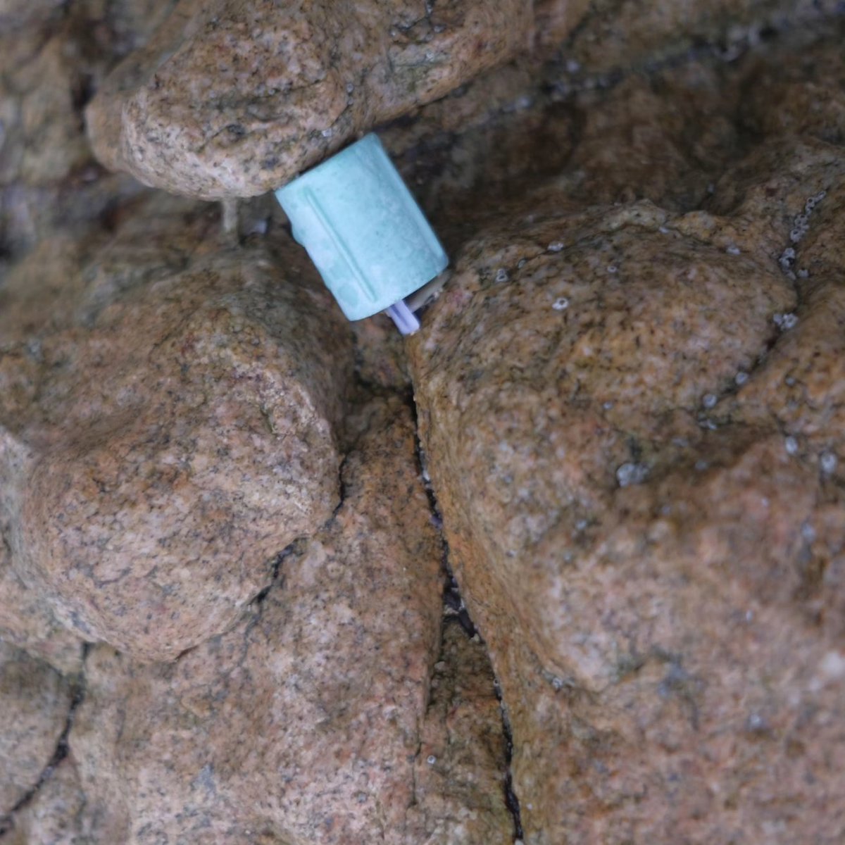 Plástico sujeto y predicado #mawa