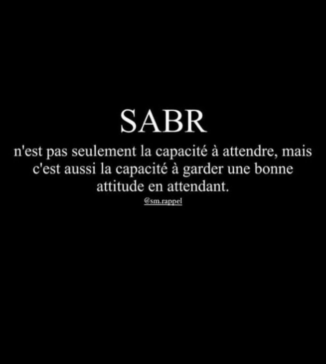 ilario 🦚 tweet media