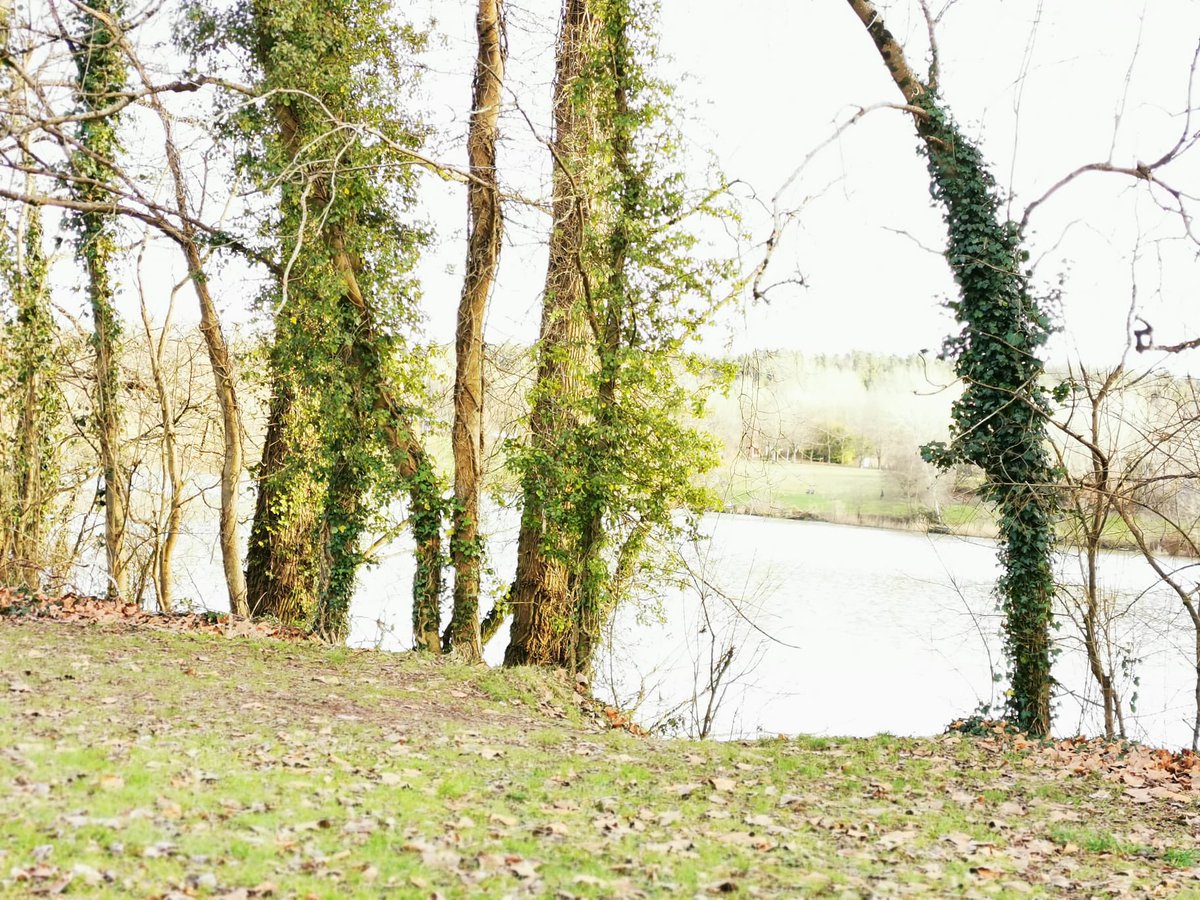 A cold one today in our walking group but we spotted the cutest little robin 🐦 <a href="/SwanseabayNHS/">Swansea Bay NHS</a> <a href="/Adferiad_/">Adferiad</a>
