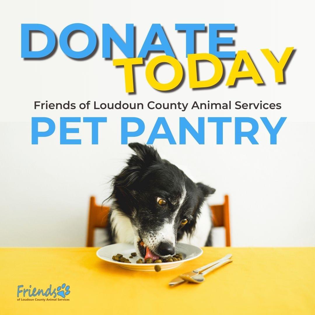 FLCAS2018's tweet photo. Consider sponsoring a case of food through our Chewy donation link---> https://t.co/BrRh0huifz
OR drop off your contribution at 42225 Adoption Drive, Leesburg, VA. Let's keep the bowls full and tails wagging! 💙 #FLCAS #PetPantry https://t.co/yVqa6ImOEx