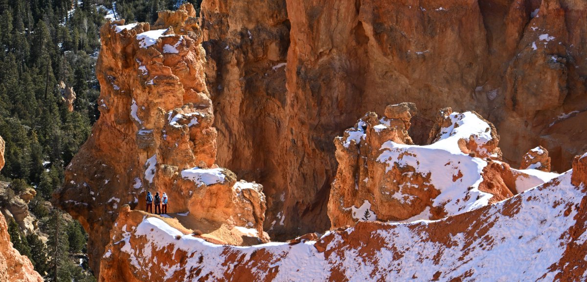 workingitoutnow's tweet photo. Part 1 From the HOW DID THEY GET THERE series...two shots from @BryceCanyonNPS, a stunningly #beUTAHful place!

#brycecanyonnationalpark #hiking #outdoors #adventure #howdidtheydothat #whatthe #photography #utphoto @UtahIsAwesome #weather #utwx #whataview #scenery #landscapes https://t.co/ux2KYZo02C