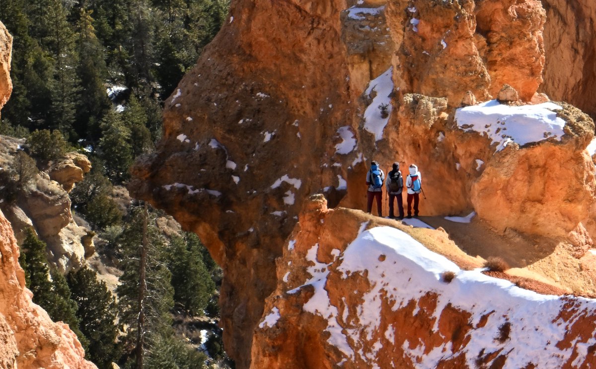 workingitoutnow's tweet photo. Part 1 From the HOW DID THEY GET THERE series...two shots from @BryceCanyonNPS, a stunningly #beUTAHful place!

#brycecanyonnationalpark #hiking #outdoors #adventure #howdidtheydothat #whatthe #photography #utphoto @UtahIsAwesome #weather #utwx #whataview #scenery #landscapes https://t.co/ux2KYZo02C
