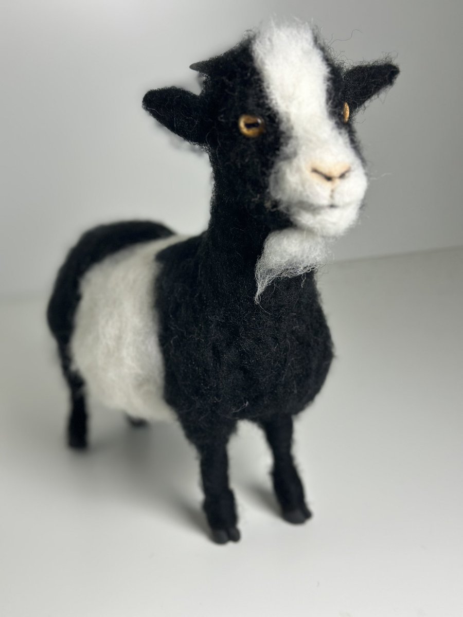 A needle felted goat which was a Christmas present for a lovely wee girl who loves them!