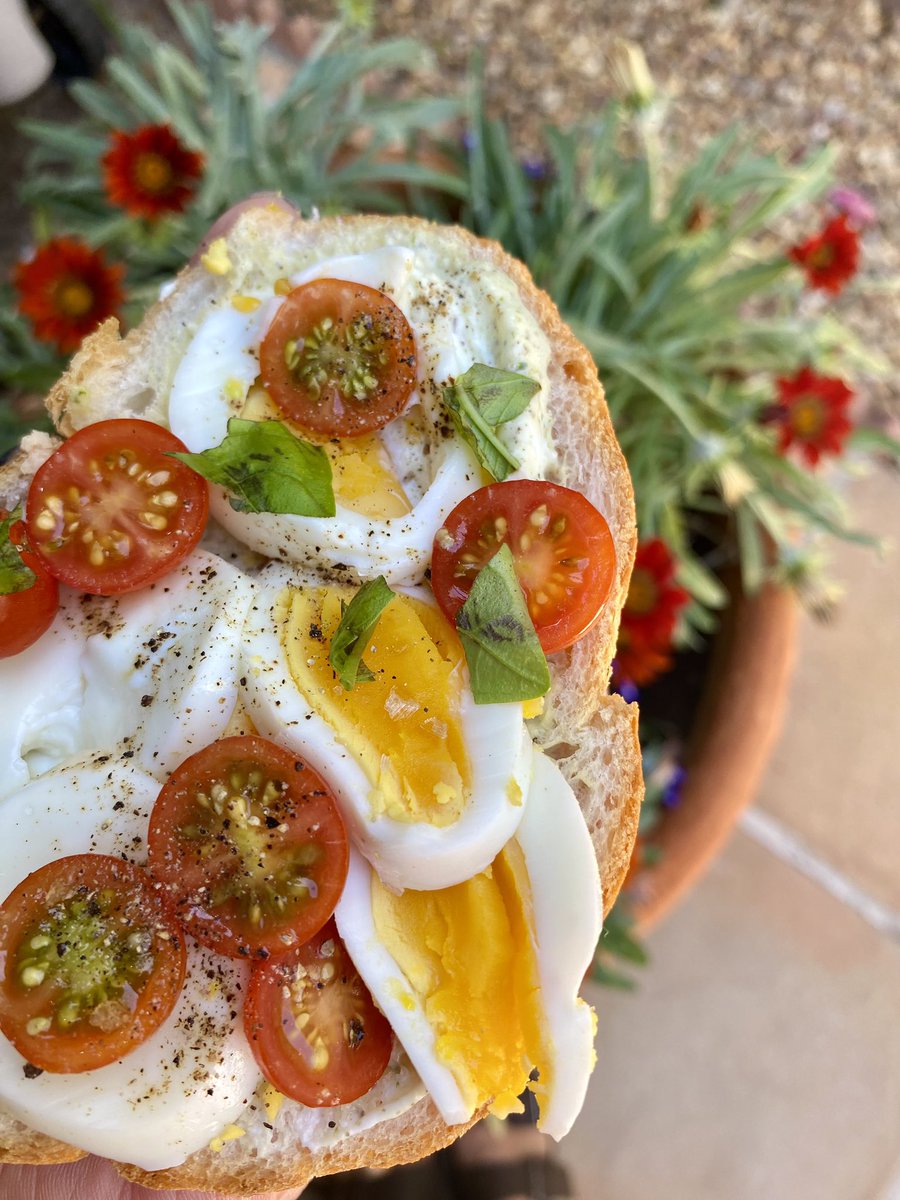 Lunch - with the sweetest tomatoes from my garden. 🍅🌱#Lunch