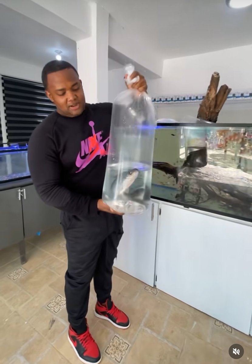 kpininimemes's tweet photo. Ahora que destituyeron a Wanda García, queremos a Javier como Director general del Acuario https://t.co/c5OCHaTQb2