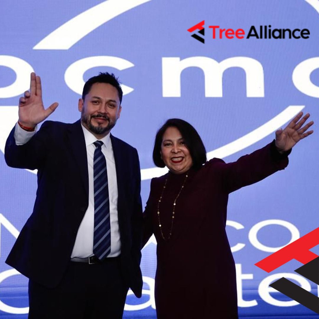 Tree Alliance tweet media