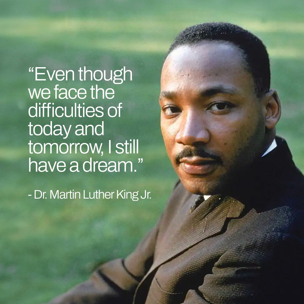 Seek Now tweet media