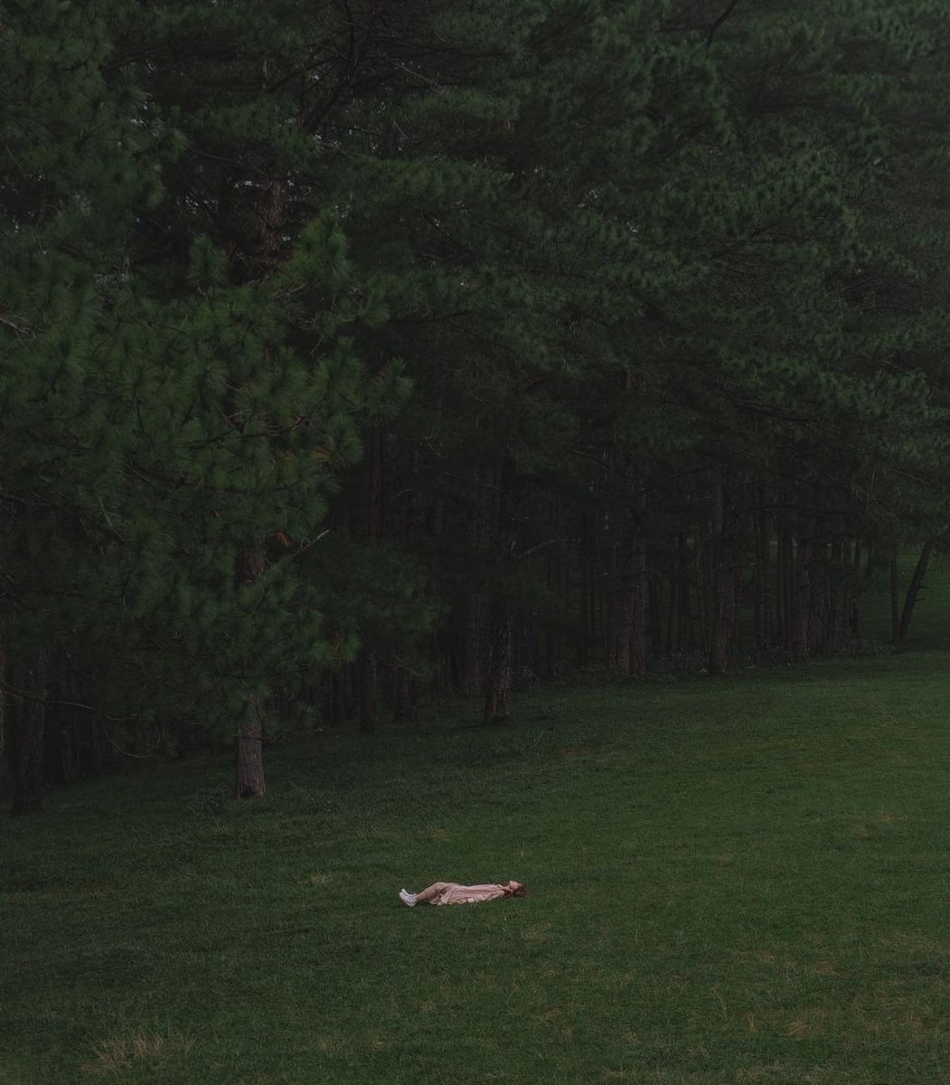 ᅠ ᅠ (@greendreaams) on Twitter photo 