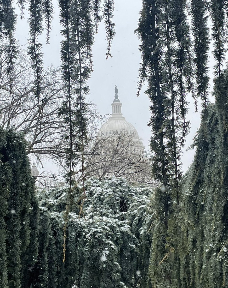 EricaMeier's tweet photo. #dc #Snowbreak @capitalweather https://t.co/2Eb8p6G4et