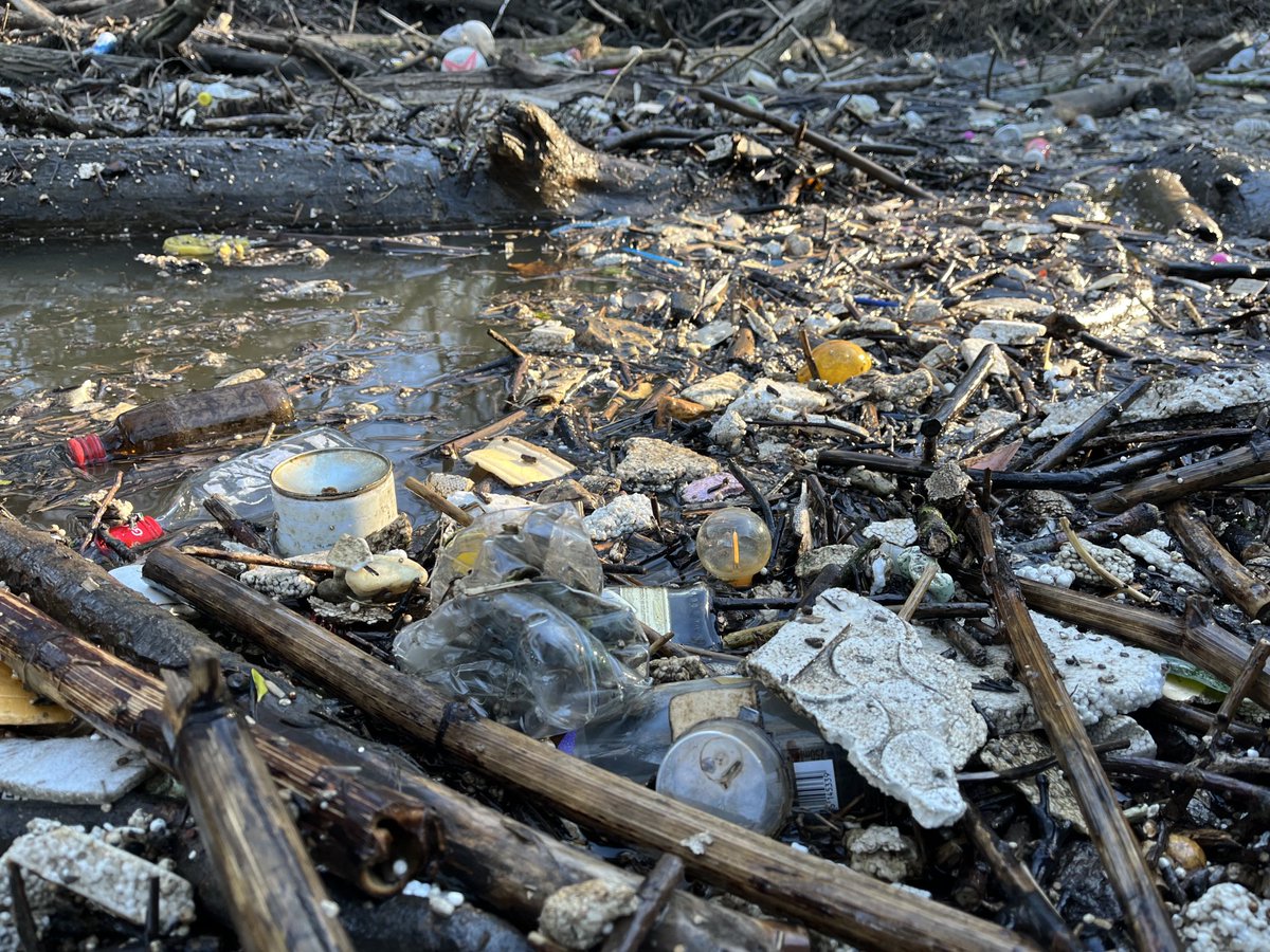 BrentPollution's tweet photo. We need a #returnscheme and a #polystyreneban, and we need to put Nature at the heart of our lives https://t.co/impT7tP9q5