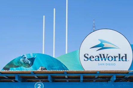 Teachers get FREE admission to SeaWorld San Diego all year. Visit conejoteachers.com for more details!