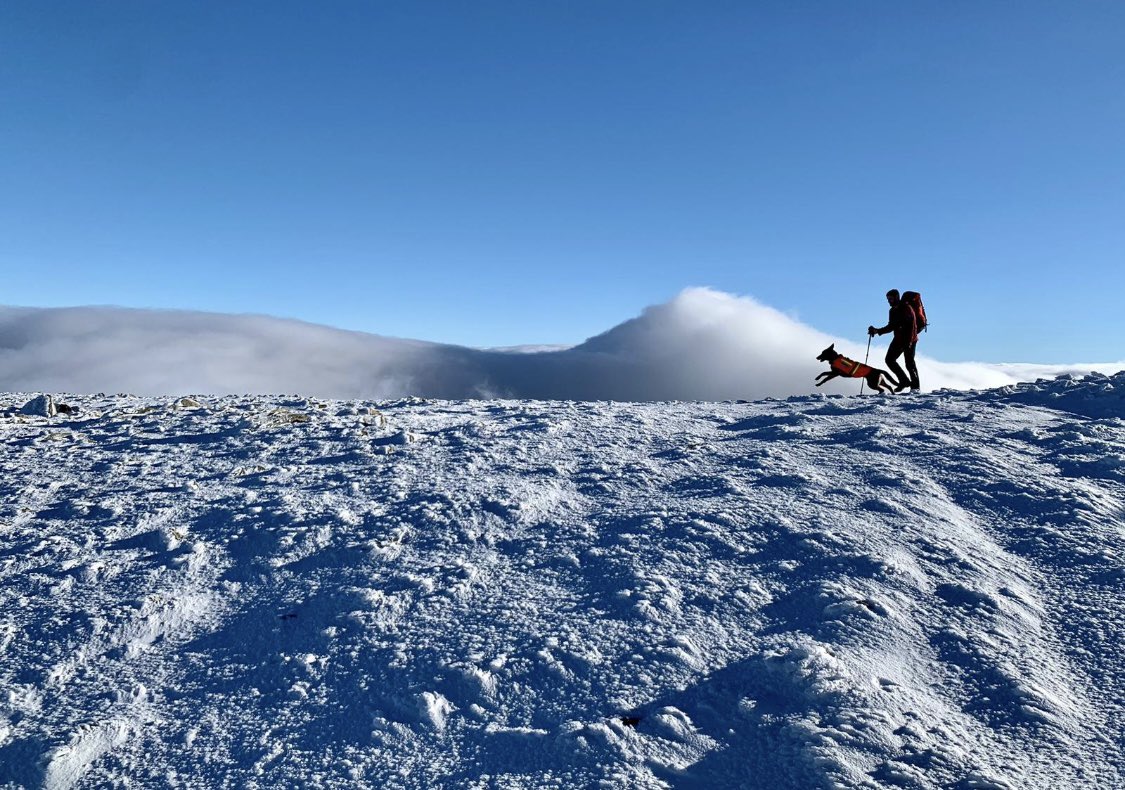 edalemrt's tweet photo. Dog Call 3  -  11th January 2024. In response to a request from Ogwen Valley MRT and Partner Agencies as part of the (still ongoing) major search for missing hillwalker David Brookfield, @MRSearchDogsEng search dog Hope deployed (with her handler) to help search the Carneddau. https://t.co/Q5kVamiQ1V