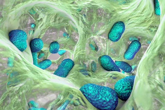 CirujanoGZ's tweet photo. Científicos de Roche y la Universidad de Harvard descubrieron una clase completamente nueva de #antibióticos, algo que no se lograba desde la década de 1980. El nuevo fármaco de nombre '#zosurabalpin' tiene la capacidad de combatir Acinetobacter baumanii. https://t.co/YHo4rTrmYf