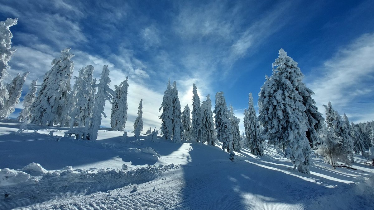 TouringRomania's tweet photo. Come with us this winter on a Private Guided Tour in Romania ! 

https://t.co/UHMHilAKJC

#touringromania #transfagarasan #romania #transylvania #traveldestination #travelideas #carpathians https://t.co/bGTiW9SiwO