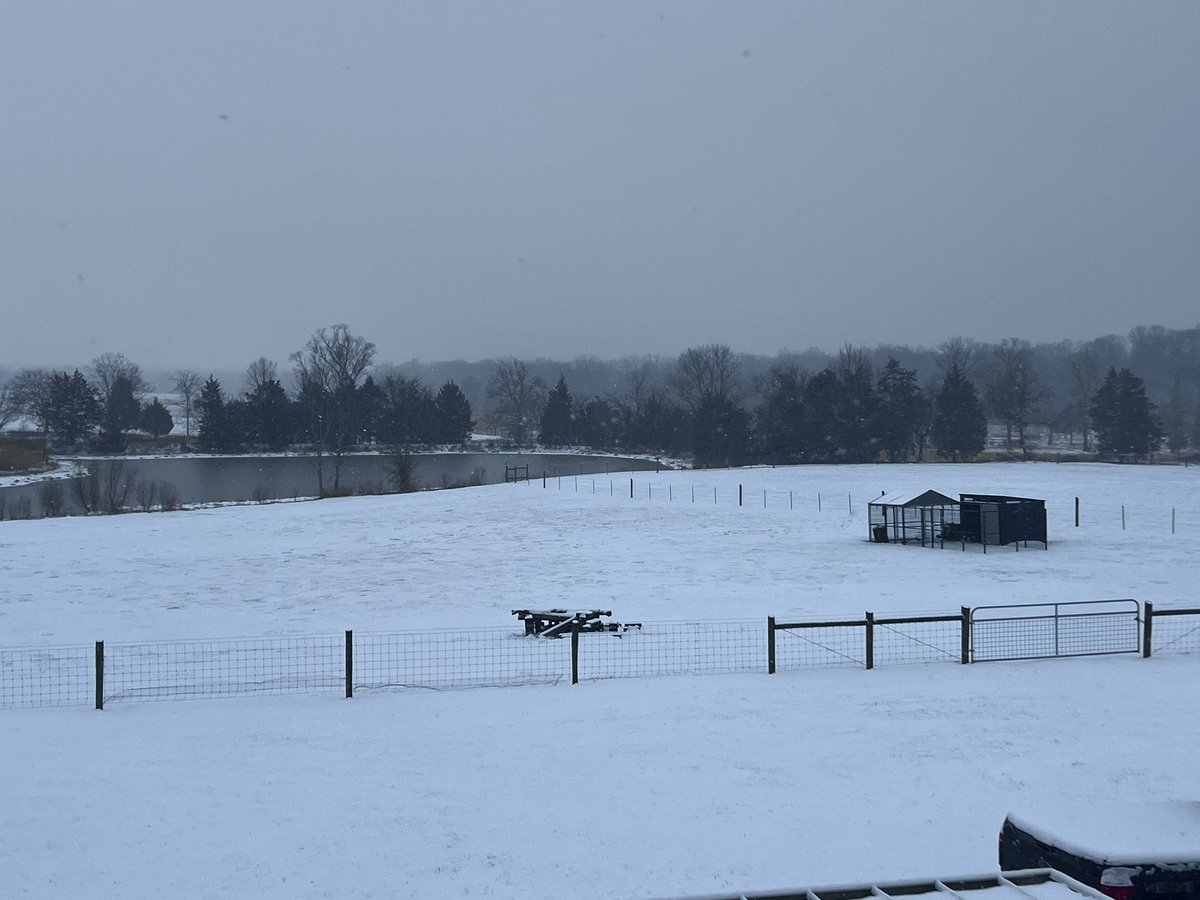 Fosteringlife's tweet photo. @OurTNFarm @MarshSevereWx Loving the snow in Chapel Hill https://t.co/k21xGTT3VU