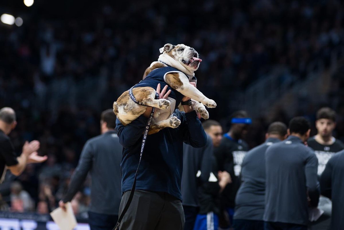 Butler Blue III tweet media