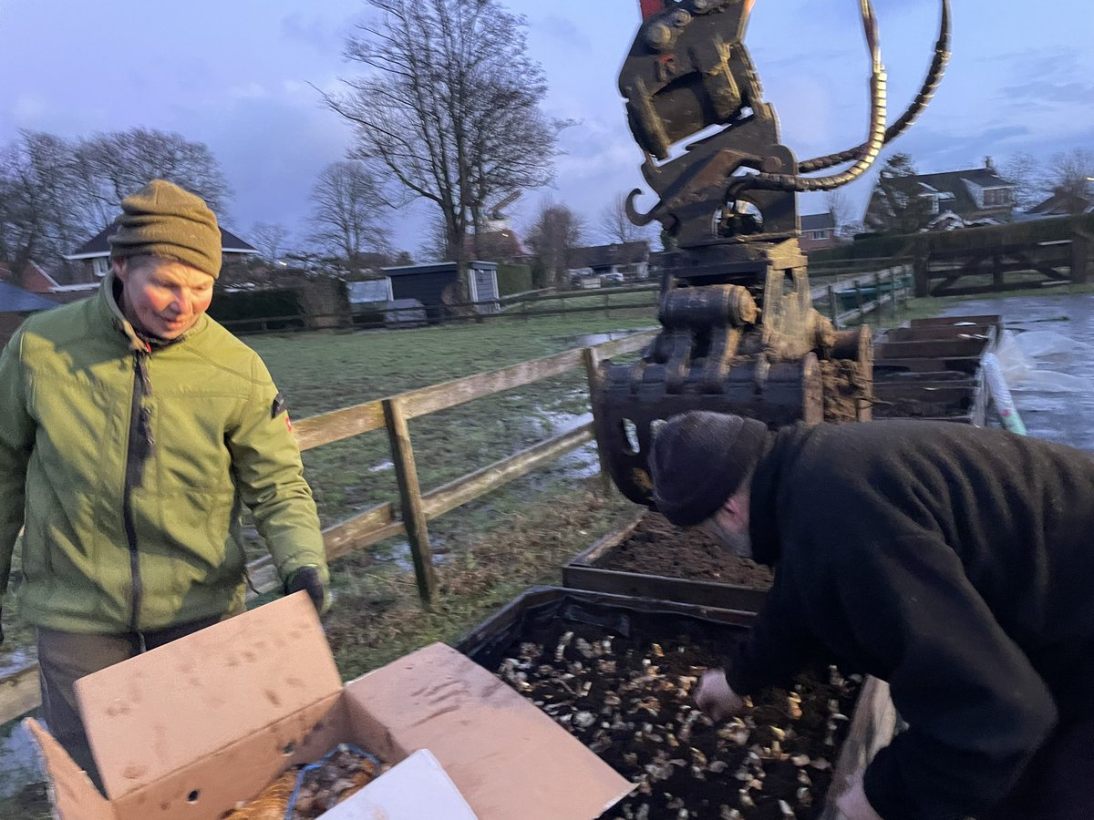 LaurenceHaack's tweet photo. De #dorpsraad van #burghhaamstede nam het initiatief om het dorp in het voorjaar op te fleuren met bloemen. #AnnemiekvanWaveren #johnvanveenhuizen en @ronbrink61 zijn aan het werk om dat mogelijk te maken. #bloembollen https://t.co/QZFB7PaxRd