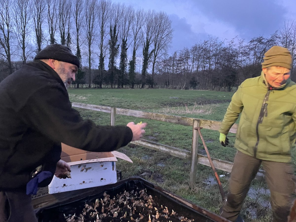 De #dorpsraad van #burghhaamstede nam het initiatief om het dorp in het voorjaar op te fleuren met bloemen. #AnnemiekvanWaveren #johnvanveenhuizen en <a href="/ronbrink61/">Ron Brink</a> zijn aan het werk om dat mogelijk te maken. #bloembollen