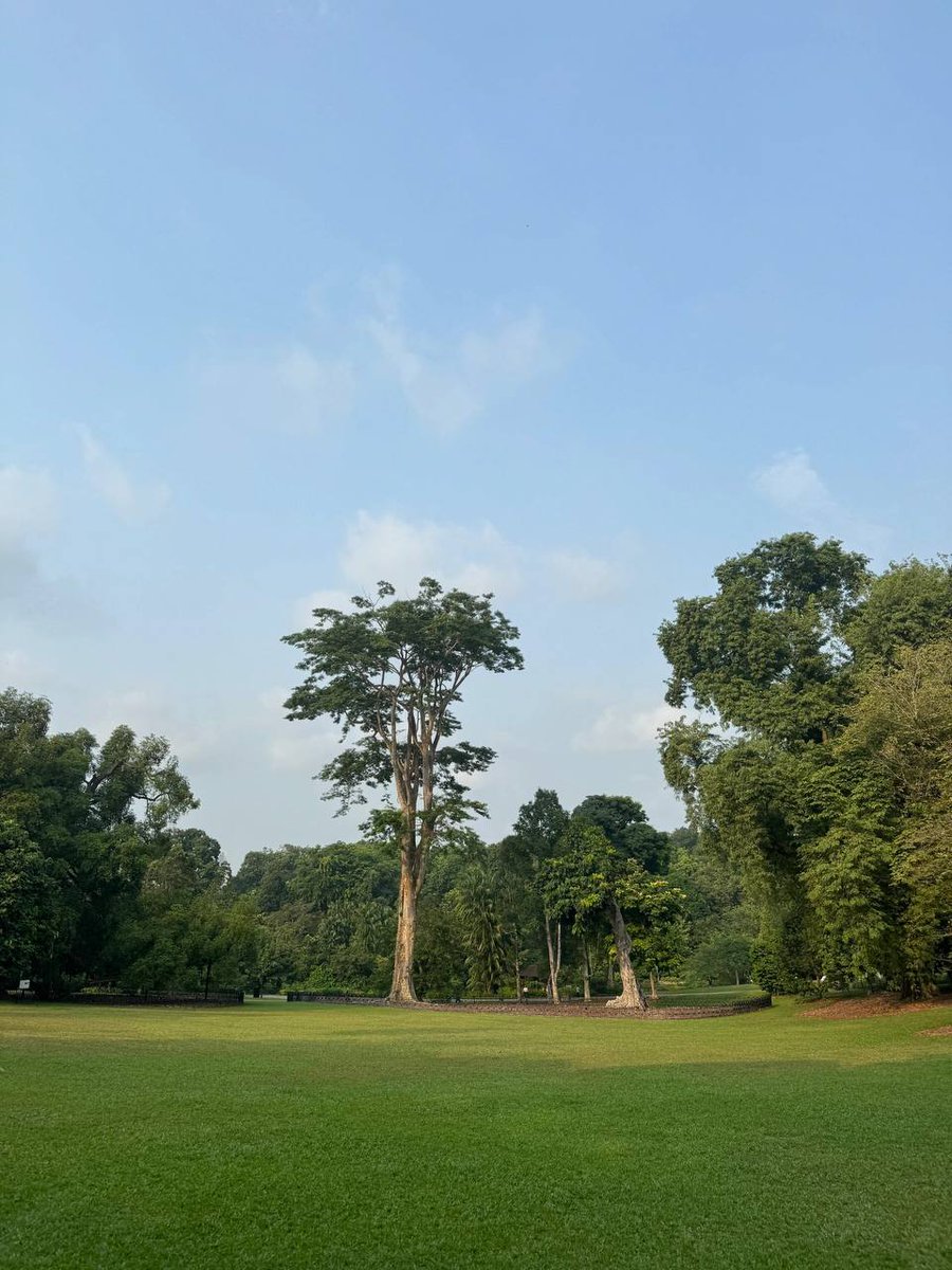 Heejim002's tweet image. #자연의 아름다움은 평화롭습니다 💖💖